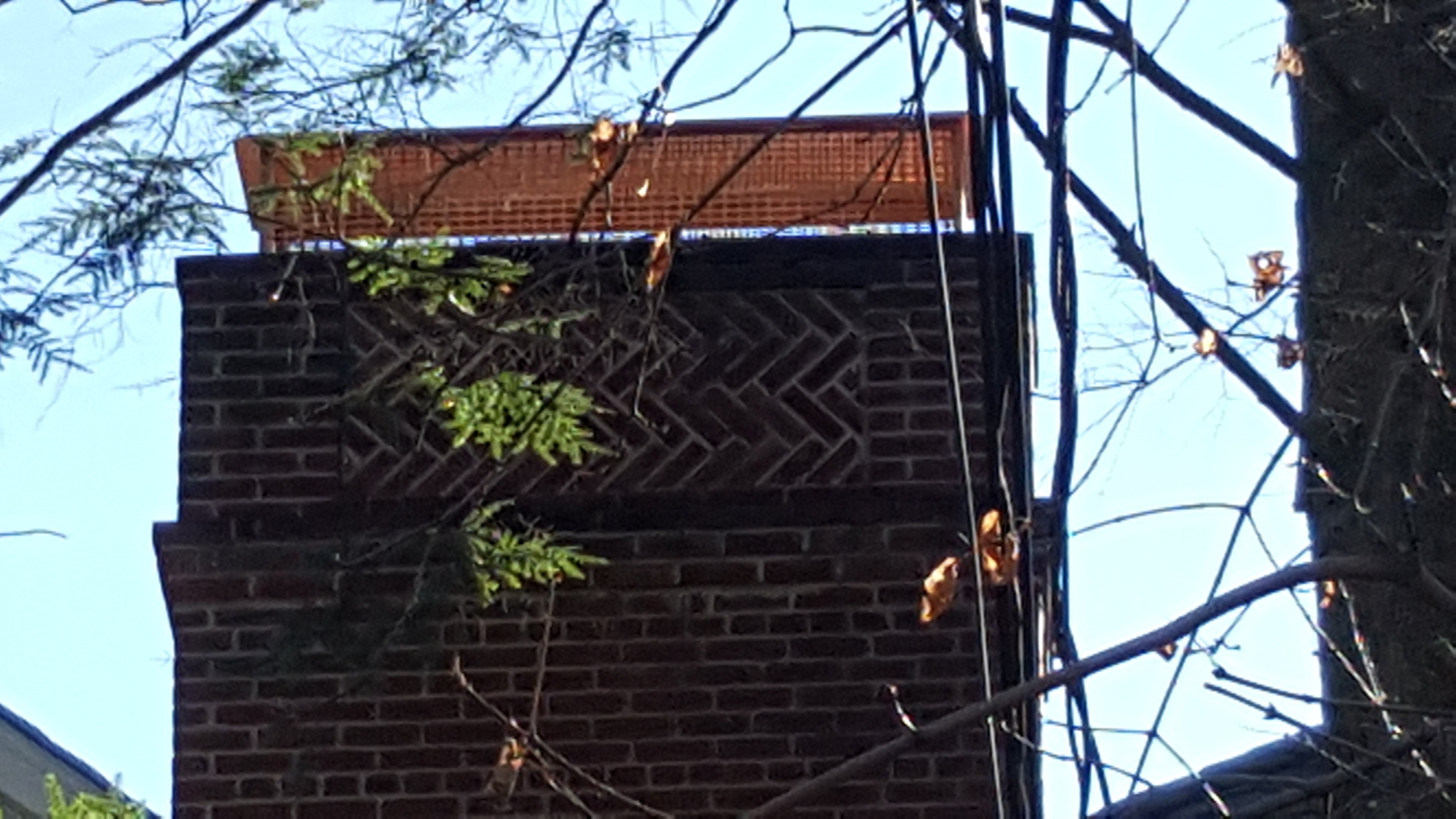 Animal-proof chimney cap protecting home in Bay Shore, New York